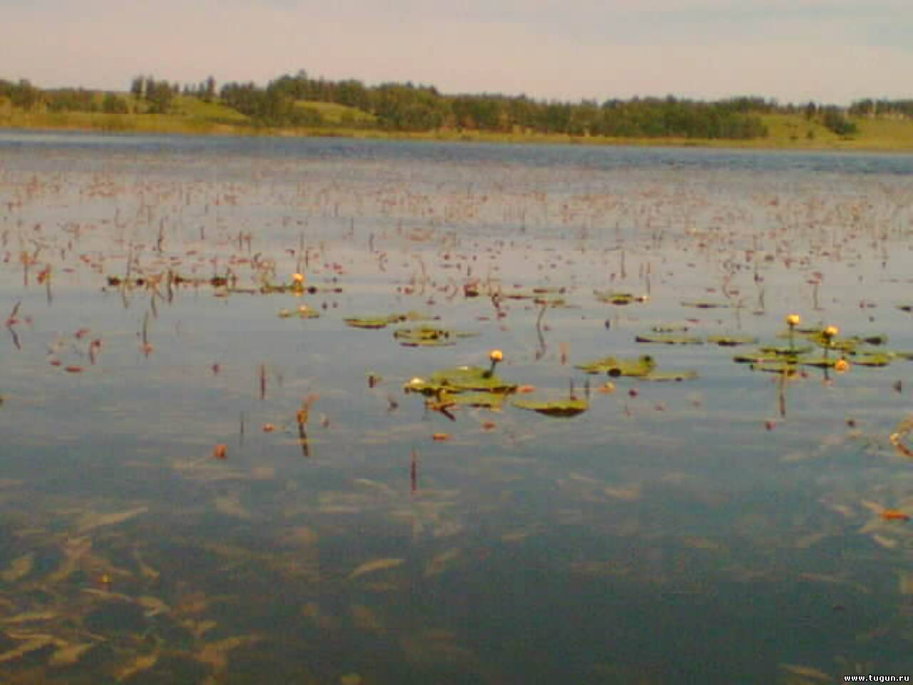 Озеро тарай дзержинский район база отдыха